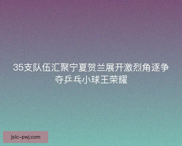 35支队伍汇聚宁夏贺兰展开激烈角逐争夺乒乓小球王荣耀