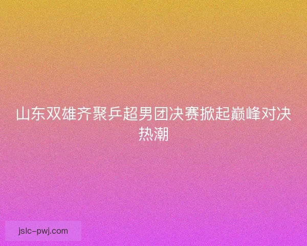 山东双雄齐聚乒超男团决赛掀起巅峰对决热潮